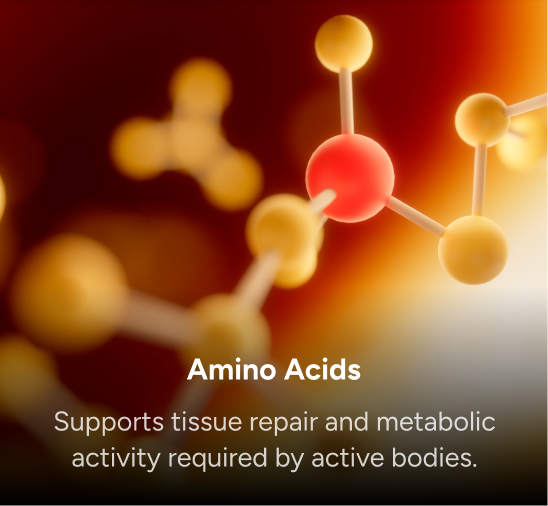 Amino Acids