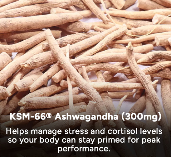 KSM-66® Ashwagandha (300mg)