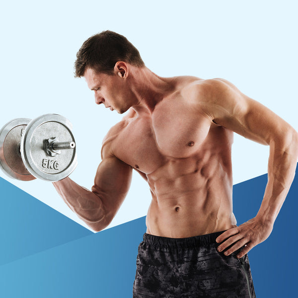 For Muscle Growth