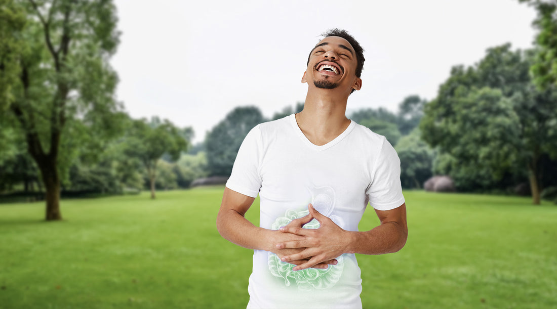 Does the Gut Really Produce 70-80% of the Body's Immune Cells?