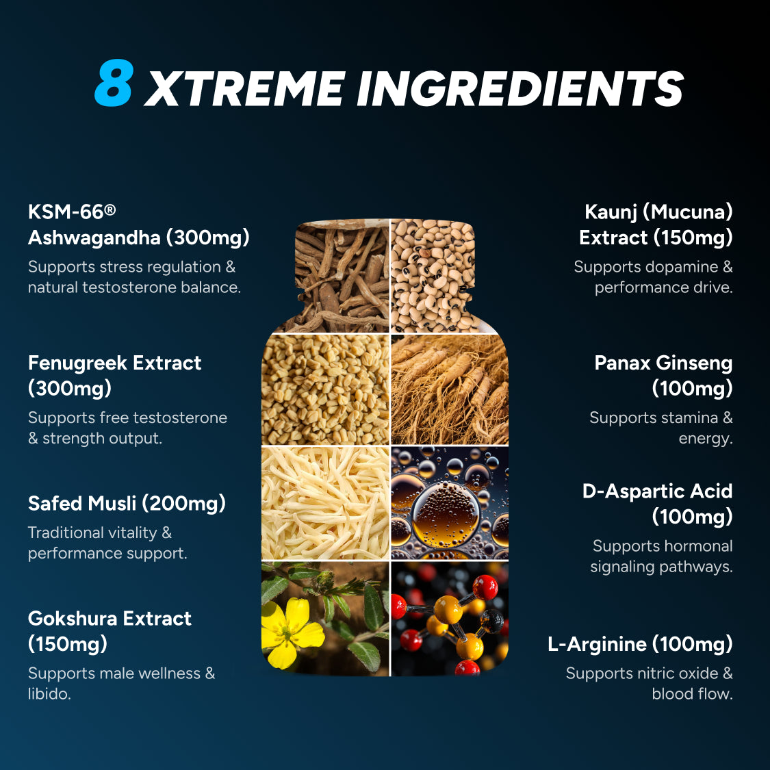 Testo Xtreme