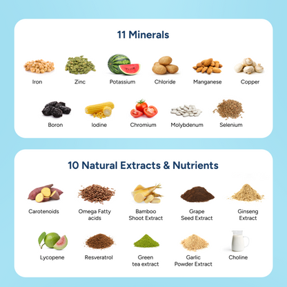 Multi Vitamin – Daily Recharge Essential