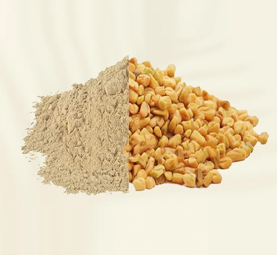 Fenugreek Extract 