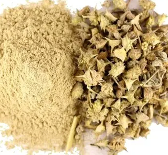 Gokshura Extract 