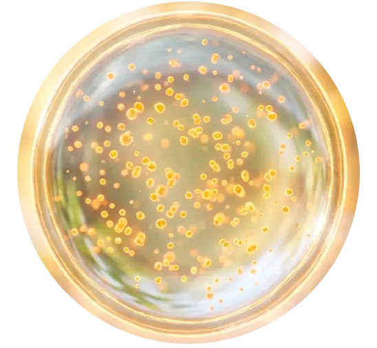 Liposomal Magnesium Citrate