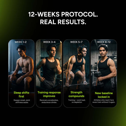 Performance Stack | TestoXtreme + Magnesium Complex + Mega Omega-3 | Strength, Recovery & Testosterone Support