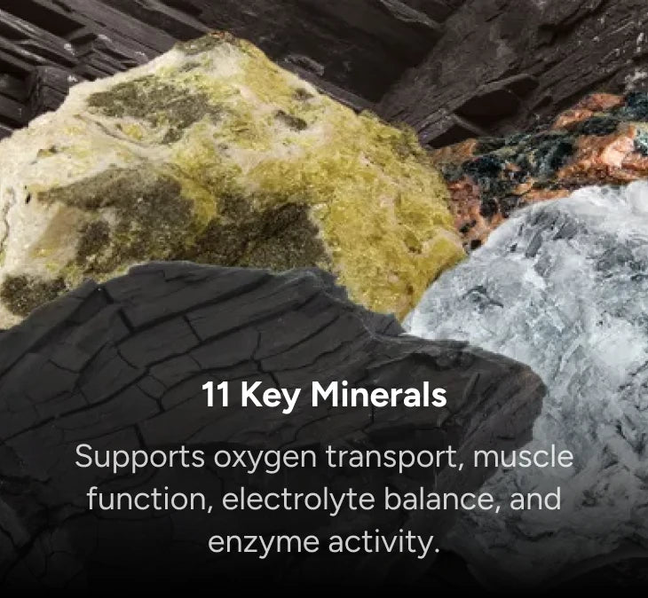 12 Key Minerals