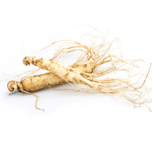 Panax Ginseng